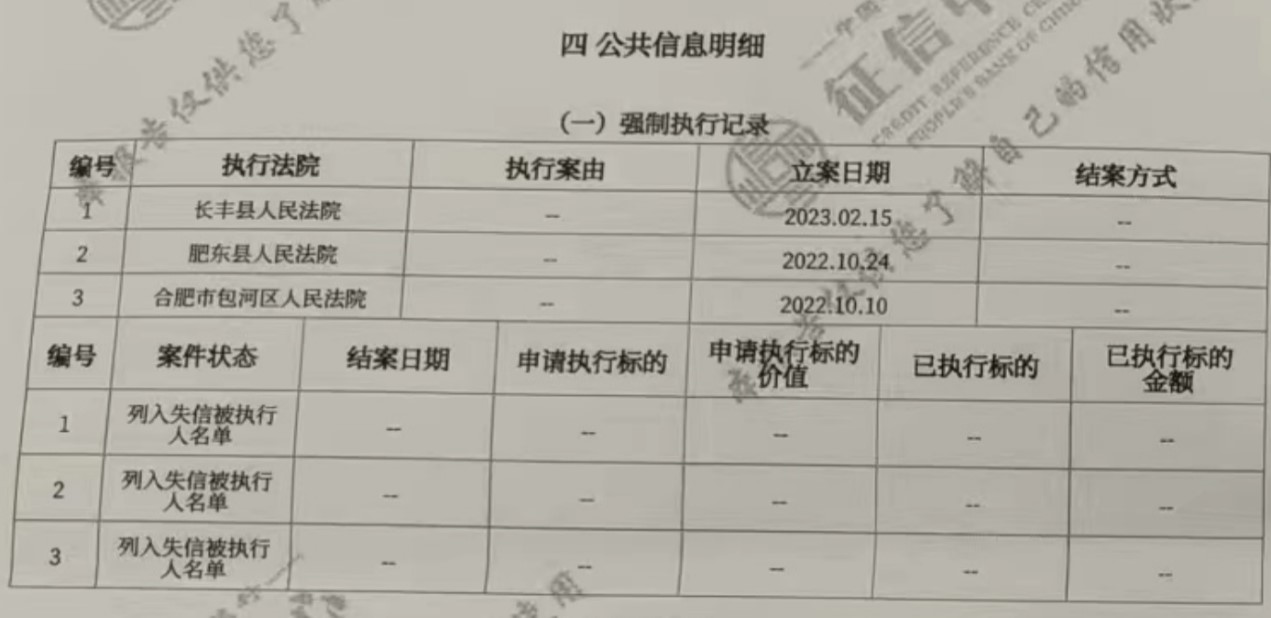 征信报告，强制执行